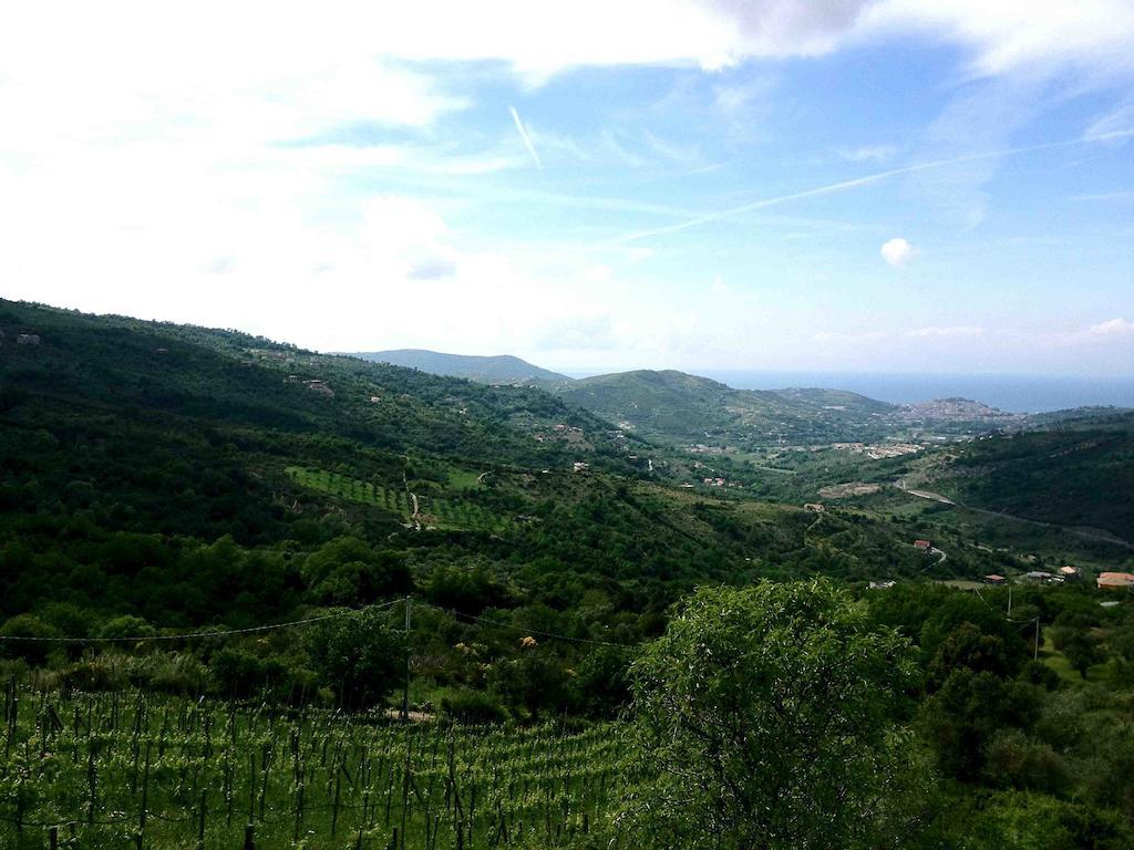 Villa Nigro Laureana Cilento Exterior foto